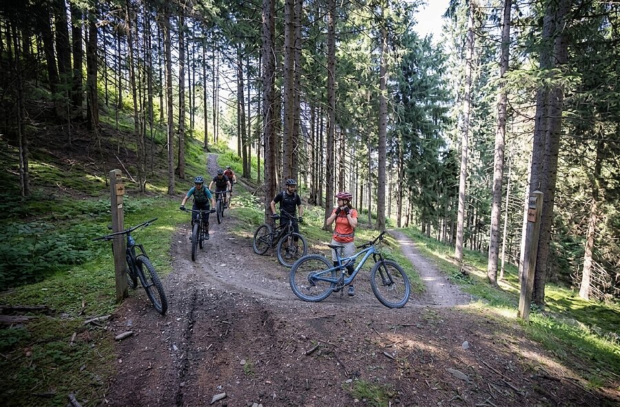 Die Flowtrail-Achterbahn